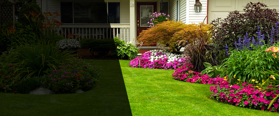 Charlestown Landscapers